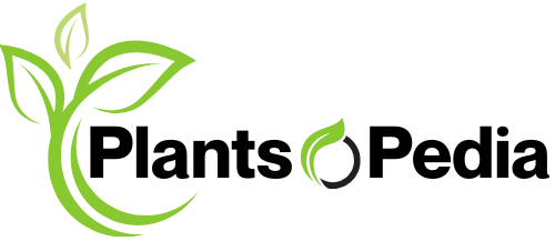 Plantsopedia